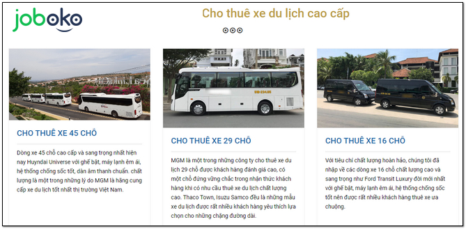 Top cong ty dich vu tai xe lai xe tan tam chuyen nghiep