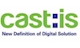 Castis Co., Ltd Korea And Vietnam (hanoi)