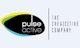 Công Ty TNHH Thương Mại & Sản Xuất Pulse