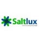 Công ty Cồ phần Saltlux Technology