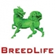 CÔNG TY CỔ PHẦN BREEDLIFE