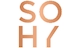 Công ty Cổ phần SOHY