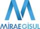 Miraegisul