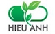 Nhân viên Kế toán