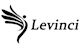 LEVINVI GROUP