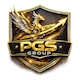 Công Ty PGS Group