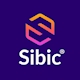 Công Ty Thiết Kế Logo & Marketing SIBIC