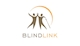 Doanh Nghiệp Xã Hội Tư Nhân, Tổ Chức Phi Lợi Nhuận BLIND-LINK