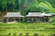 Σông Ty CP Lương thực Bình Minh
